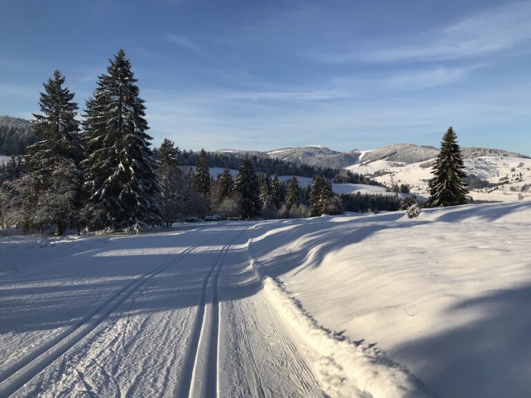 Anstieg vom Loipenzentrum mit Blick über das Bernauer Tal zum Herzogenhorn