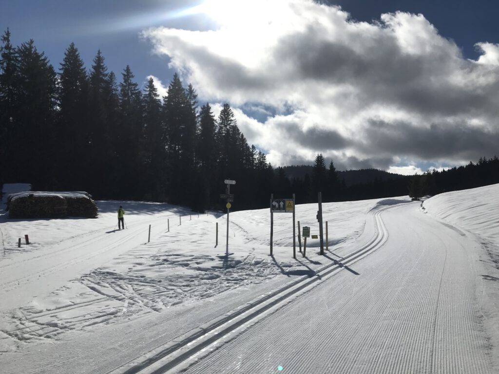Dichtelau, Abzw. Langhaldenloipe und Oren-Loipe