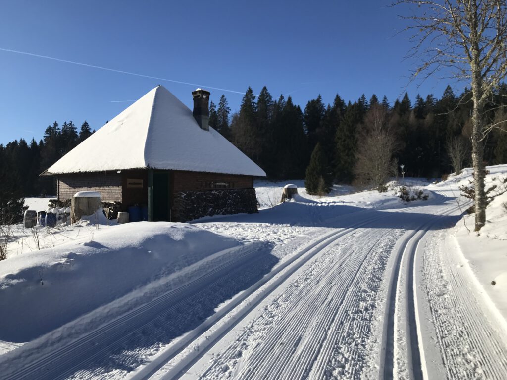 Rechberg-Loipe Bernau
