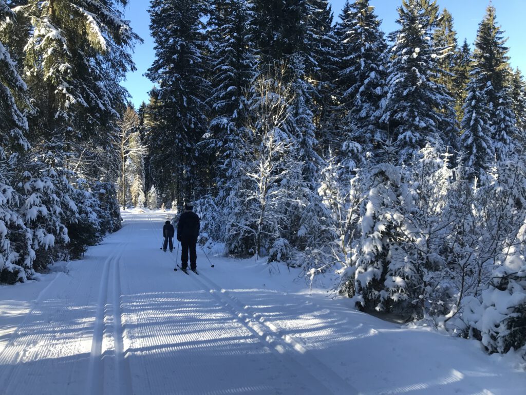 Taubenmoos-Loipe Bernau