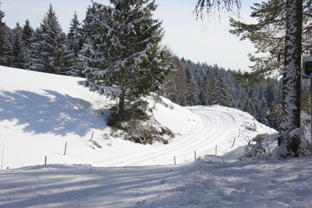 Rechberg-Loipe, Abzw. Schönengrund-Loipe