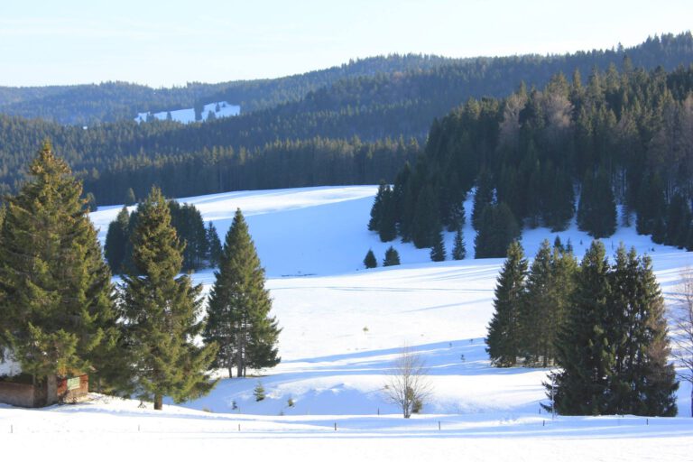 Schönengrund-Loipe Bernau