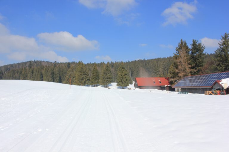 ziegelfeld
